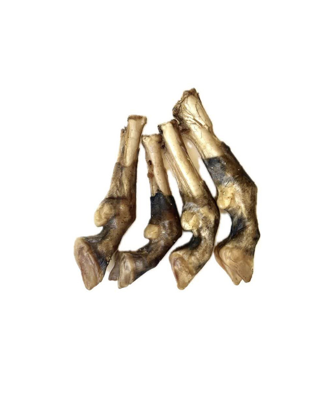تشویقی سگ و گربه پاچه خشک و تمیزشده گاو